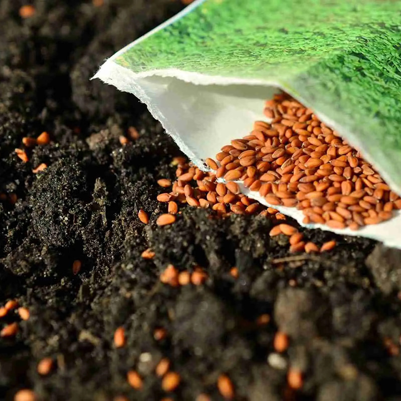 用于种子和真菌的深度冷冻机 
